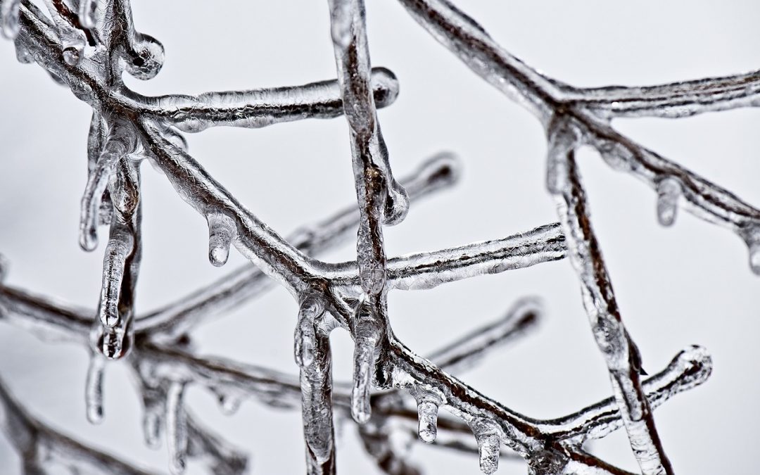 Dealing with a Frozen HVAC Unit? Here’s What to Do!