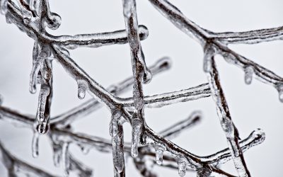 Dealing with a Frozen HVAC Unit? Here’s What to Do!